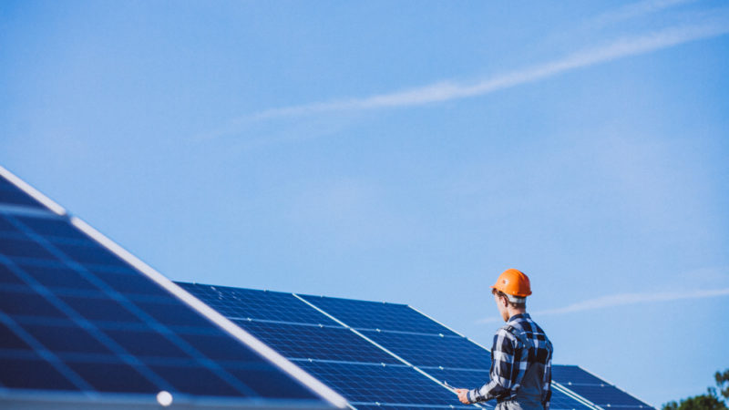 man-worker-firld-by-solar-panels